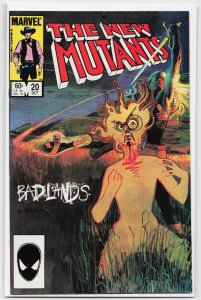 The New Mutants #20 (1984) New Mutants