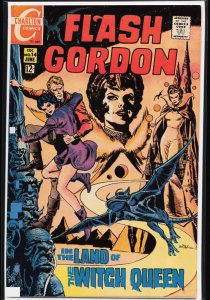 Flash Gordon #14 (1969)