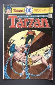 Edgar Rice Burroughs' Tarzan #247 (1976)