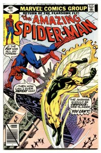 AMAZING SPIDER-MAN #193-comic book-Bronze Age-High Grade VF/NM 