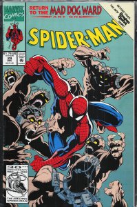 Spider-Man #29 (1992) Spider-Man