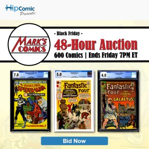 48-Hour Black Friday Auction