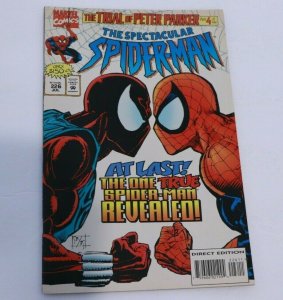 Spectacular Spider-Man Peter Parker #226 1995 