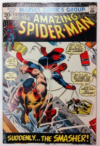 The Amazing Spider-Man #116 (3.0, 1973)