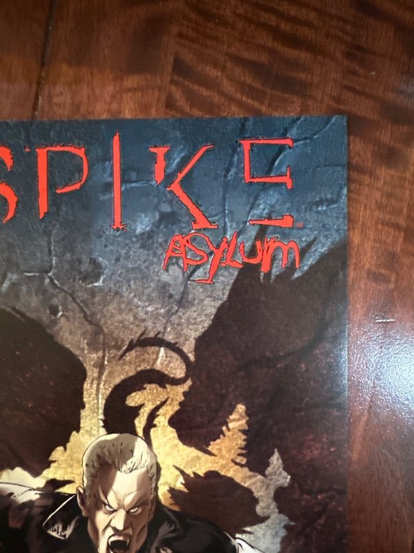 Spike: Asylum #3 (2006)