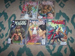 MAGOG # 1 2 3 4 5 2009 DC   JSA JUSTICE SOCIETY GIFFEN KINGDOM  COME