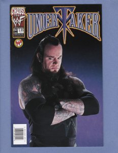 Undertaker Lot #2 #3 #8 #10 Halloween Special #1 Variants Chaos Comics