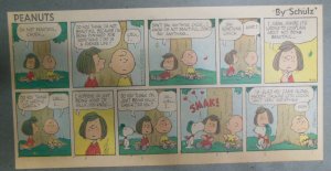 Peanuts Sunday Page by Charles Schulz from 9/27/1970 Size: ~7.5 x 15 inches