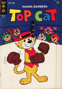 Top Cat #14 (1965) Top Cat