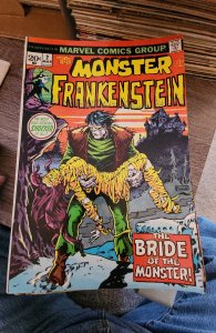 The Frankenstein Monster #2 (1973) Frankenstein Monster 