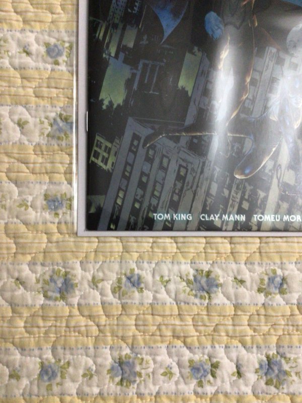 Batman Catwoman issue one variant cover