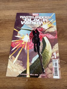 Lot Of 3 Wastelanders Marvel Comic Books #1 NM Black Widow Star-Lord Doom 1 J430