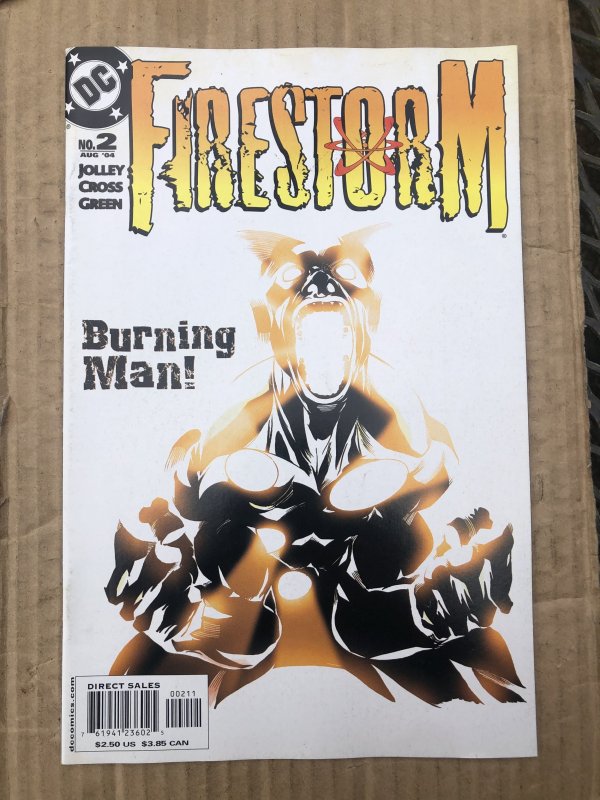 Firestorm #2 (2004)