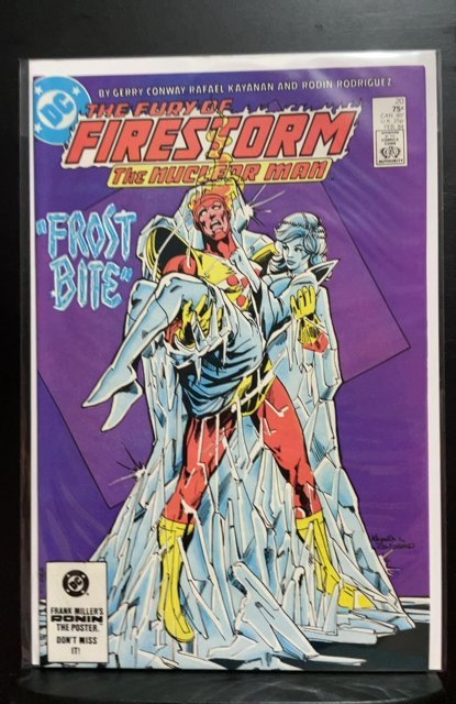 The Fury of Firestorm #20 (1984)