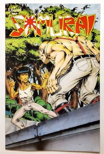 Samurai #18 (April 1987, Aircel) 7.0 FN/VF