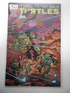 Teenage Mutant Ninja Turtles #18 Cover B