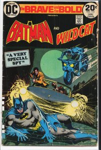 The Brave and the Bold #110 (1974) Wildcat