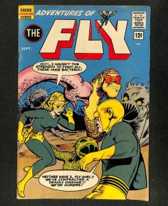 Adventures of the Fly #21