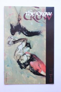 Crow #5 (1999) NM