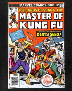Master of Kung Fu #45