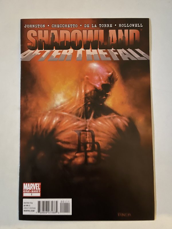 Shadowland: After the Fall #1 - VF (2011)