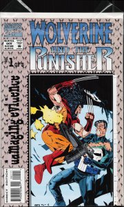 Wolverine and the Punisher: Damaging Evidence #1 (1993) Punisher