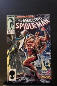 The Amazing Spider-Man #293 Direct Edition (1987)