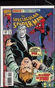 The Spectacular Spider-Man #205 (1993) Spider-Man
