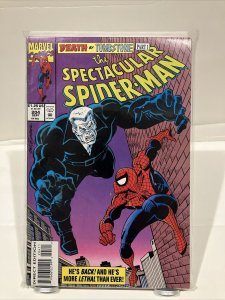 The Spectacular Spider-Man 204