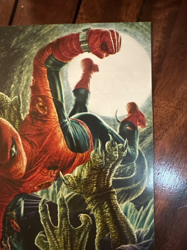 Amazing Spider-Man #13 (2025)