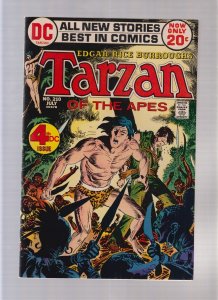 Tarzan #210 - Origin Of The Ape-Man! (7.0) 1972