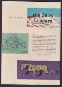 Jungle Jim #12 1957 Dell 9.0 VF/NM comic