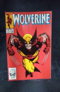 Wolverine #17 (1989)