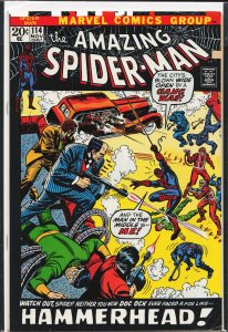 The Amazing Spider-Man #114 (1972) Spider-Man