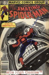 SPIDER-MAN  (1963 Series) (AMAZING SPIDER-MAN)  #230 NEWSSTAND Fair Comics