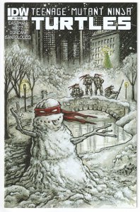 Teenage Mutant Ninja Turtles #5 Cover C (2011) Retailer Incentive Variant