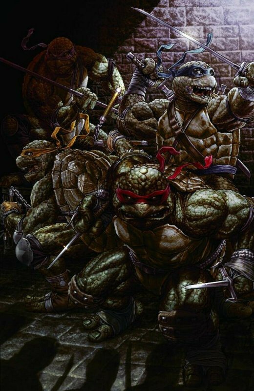 IDW Teenage Mutant Ninja Turtles #84 Lee Bermejo Virgin Variant NM