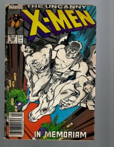 12 Comics Uncanny X-Men 534.1 535 536 537 538 539 540 541 542 543 544 + 228 J446