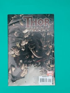 THOR REIGN OF BLOOD 1  MARVEL COMICS 2008 We Combine Shipping ?? FN