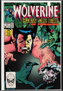 Wolverine #17 Direct Edition (1989) Wolverine