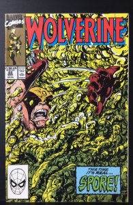 Wolverine #22 (1990)
