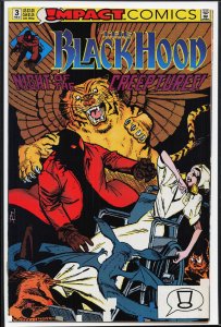 The Black Hood #3 (1992) Black Hood