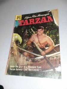 Tarzan Of The Jungle 12 Issue Silver Bronze Age Comics Lot Run Set Collection