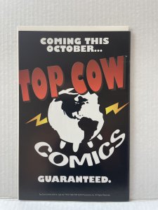 Medieval Spawn / Witchblade #3  (1996) Unlimited Combined Shipping