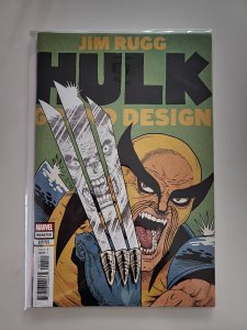 Hulk: Grand Design Piskor Cover (2022)