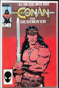 Conan the Destroyer #1 (1985) Conan