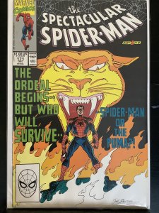 The Spectacular Spider-Man #171 (1990)