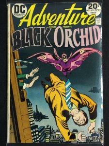 Adventure Comics - Black Orchid (4.0)