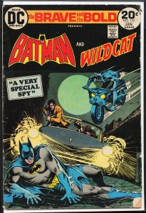 The Brave and the Bold #110 (1974) Wildcat