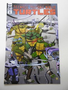 Teenage Mutant Ninja Turtles #120 RI Cover